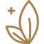 Bahove kapi 1 Holistic healer icon 9 4
